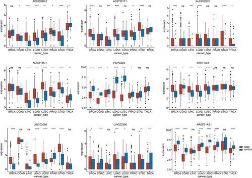 Figure 6 Expression of the nine glycolysis-related lncRNAs across multiple cancer types. *P<0.05, **P<0.01, ***P<0.001, ****P<0.0001.