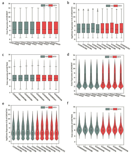 Figure 2. Quality assessment of the GSE data. (a-c) Boxplot charts for the standardized data of GSE30247, GSE167311 and GSE79434; (d-f) Vioplot charts for the standardized data of GSE30247, GSE167311 and GSE79434. The X axis contains the name of each sample, and the Y axis showed the gene expression levels for each sample. ND: normal diet.