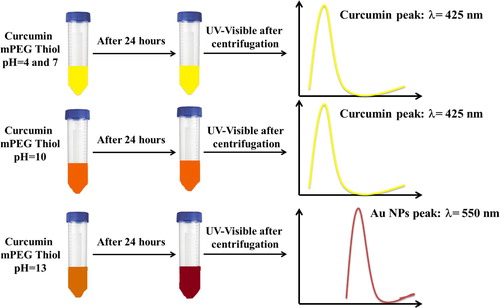 Figure 6. Effect of pH on curcumin reaction to reduce Au3+ to Au0.