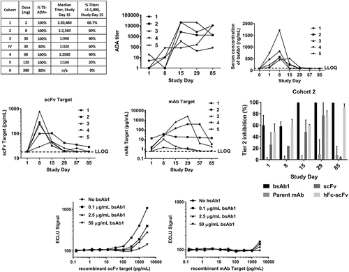 Figure 3. Administration of bsAb1 resulted in a high incidence of immunogenicity rate. (a) The overall incidence of TE-ADA was 94% in the phase 1 single-dose study, with the majority of the patients developing high titers by day 15 post-dose. B-D, the numbers 1 through 5 in the legends refer to the same patient in all 4 panels. (b) ADA titers measured on 1, 8, 15, 29 and 85 days post-injection, in Cohort 2 (8 mg dose). (c) Mean serum bsAb1 concentration versus time as measured by scFv-target capture assay in cohort 2. For ease of comparison with adjacent panels, in the interval 0–1 day, only the data collected at 20-h post-injection are shown, labeled as Day 1 measurement. All values below the LLOQ of 75 ng/mL are shown as 75 ng/mL; each symbol represents the same patient in all four panels. (d), Target engagement of the scFv target (left) and mAb Target (right); all values below the LLOQ of 18.4 pg/mL (scFv target) and 0.6 pg/mL (mAb Target) are shown as the respective assays’ LLOQ. (e), Characterization of the domain specificity was performed using the parent molecules of bsAb1 in Tier 2 in TE-ADA samples from Cohort 2. An excess of scFv alone or scFv linked to human Fc (hFc-scFv) could suppress the Tier 1 signal as efficiently as bsAb1 itself; each bar is the average of all five patients in cohort 2. (f), Target interference was assessed in the bsAb1 ADA assay using the scFv target (left) and the mAb target (right). Both proteins do not interfere in the assay when tested at physiological concentrations and in the presence of bsAb1.