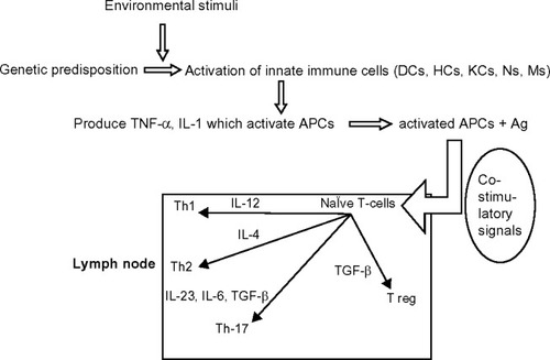 Figure 1 The activation of naïve T-cells to different types of T-cells by APCs in the lymph node. Successful T-cell activation occurs in the presence of co-stimulatory signals.