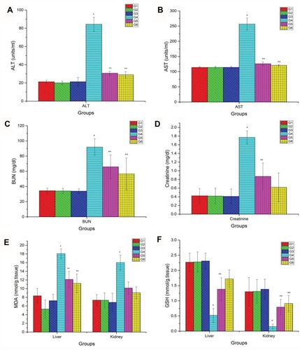 Figure 2 Blood biochemical tests and hepato-renal oxidative stress markers. (A) Serum levels of ALT, (B) AST, (C) BUN, (D) creatinine, (E) hepato-renal levels of MDA and (F) GSH levels in different groups. Data are represented as Mean ± SD. *Indicates significant difference from corresponding control group (G1) at P ≤ 0.05. **Indicates significant difference from corresponding CuO-NPs group (G4) at P ≤ 0.05.Abbreviations: G1, control group; G2, group received 1 mL/kg bwt PJ; G3, group received 3 mL/kg bwt PJ; G4, group received CuO-NPs; G5, group received CuO-NPs + 1 mL/kg bwt PJ; G6, group received CuO-NPs + 3 mL/kg bwt PJ.