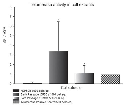 Figure 2 Relative fluorescent readings used to assess telomerase activity in tDPSCs and nDPSCs after the introduction of exogenous HTERT. The results are expressed as the means ± SD (n = 4, *p < 0.001).