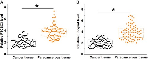Figure 1 PTCSC3 and Linc-pint were both downregulated in cancer tissues of gastric cancer patients. RT-qPCR results showed that PTCSC3 (A) and Linc-pint (B) were both downregulated in cancer tissues of gastric cancer patients compared with paracancerous tissues (*p<0.05).