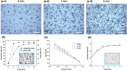 Figure 5. Optical micrograph of the surface (with PET side) of a 0.5 vol% CIP/prepolymer suspension under AC electric field (2 kV/mm) treatment for (a-1) 0 min, (a-2) 1 min, and (a-3) 5 min. Results of statistical and fractal analyses of images obtained from in situ observations: (b) CIP self-assembly ratio and area ratio as a function of time. (c) Plot of the relationship between the number of boxes and box size obtained by the box counting method. (d) Fractal dimension as a function of time.