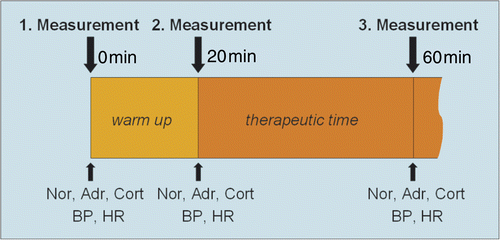 Figure 1. Measurement cycles of psychoendocrine hormone concentrations in venous blood, heart rate and blood pressure.