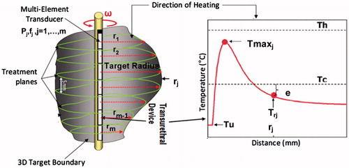 Figure 2. Typical temperature profile along the direction of heating of an ultrasound transducer element.
