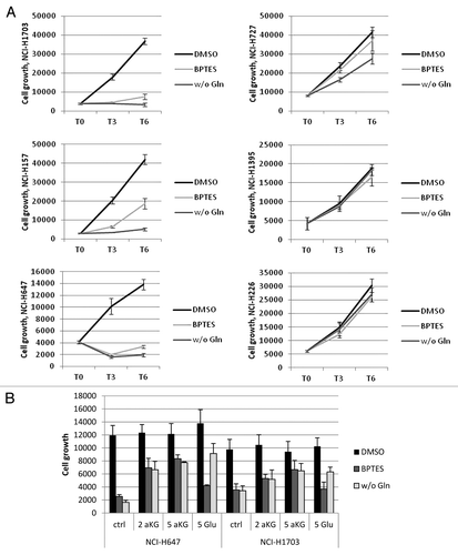 Figure 4. Importance of GLS1 function in Gln-dependent and independent lines. The data points shown represent the mean ± SD of triplicate samples. (A) Cells were grown for indicated times in the absence or presence of Gln, or treated with 10uM BPTES, after which cell growth was assessed. (B) Cells grown in the absence of Gln or treated with BPTES were co-treated with 2 mM or 5mM DM-aKG or DM-Glu for 2 d to rescue growth. Cell growth numbers were ATP values measured by CTG.