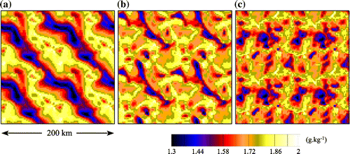 Fig. 16. An illustration of the sensitivity of the spatial structure (or organization) of deep tropical convection to the coupling with physical processes in convective radiative equilibrium (CRE) simulations. The plots show the water vapour mixing ratio at the lowest model level for (a) a reference simulation, (b) a simulation where surface fluxes do not respond to mesoscale fluctuations of the surface wind and (c) a simulation where radiative processes are prescribed instead of computed from the thermodynamical profiles and cloud field. The domain is replicated four times so that each panel represents a 200 km × 200 km square – adapted from Tompkins and Craig (Citation1998), © Copyright 1998 RMS.