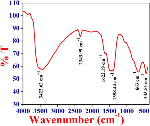 Figure 4. FTIR spectra of NiO NPs.