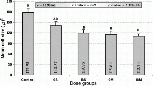 Figure 1.  Mean (values shown with in the histogram bars) cortical cell size in Control and DZ treated groups. Note:+bars = SEM; uppercase letter (A, AB and B) above the + bars indicate the statistical comparison of the means among the experimental groups [any two groups not sharing a common uppercase letter show significant difference with each other (comparison of the means based upon Duncan's Multiple Range Test: P <0.05)]. Title bar shows the F, F critical and P values of ANOVA. 9S: 9 mg/kg Single DZ exposure; 9M: 9 mg/kg Multiple DZ exposure; 18S: 18 mg/kg Single DZ exposure; and 18M: 18 mg/kg Multiple DZ exposure groups.