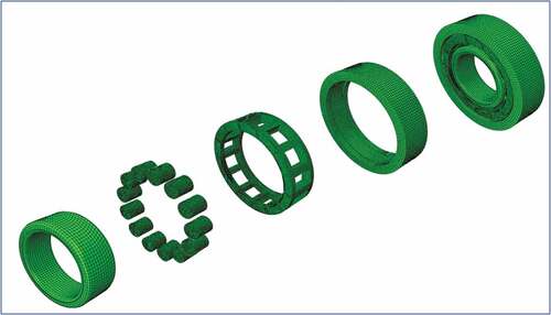 Figure 8. Parts and assembly mesh of cylindrical roller bearing.