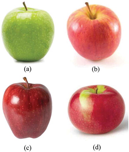 Figure 4. (a) Granny Smith, (b) Fuji, (c) Red Delicious, and (d) Spartan varieties of apples.