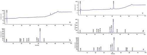 Figure 5. Comparison of wild type strains and SbTF-overexpressing transformants in liquid cultures. (a) Wild type CNUCC C72. (b) Transformant CNUCC C72. (c) Wild type zzz816 (low-yielding strain). (d) Wild type zzz816 (high-yielding strain). (e) Transformant zzz816.