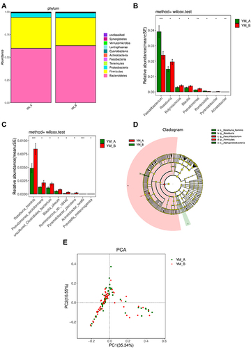 Figure 4 Comparison of gut microbiota in elderly patients with chronic constipation before and after treatment. (A). Predominant phyla in both groups. (B). The relative abundance of genera that could distinguish chronic constipation from before and after flaxseeds treatment is plotted on a logarithmic scale, and values of zero are assigned 1e-06.*P < 0.05,**P < 0.001, ***P < 0.0001. (C). The relative abundance of species that could distinguish chronic constipation from before and after flaxseeds treatment is plotted on a logarithmic scale, and values of zero are assigned 1e-06.*P < 0.05,***P < 0.0001. (D). Histogram of linear discriminant analysis scores for differently abundant genera. (E). PCoA diagram based on relative abundance (97% similarity). Each symbol represents a sample. Green symbol indicates patients with chronic constipation before treatment and red symbol indicates those after treatment.