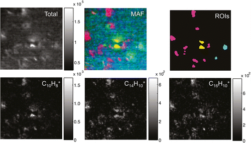 Figure 7 (Colour online) 75 × 75 μm2, laser-SNMS (157 nm) images of ambient aerosol particles from impactor stage 6 (2–3.5 μm in aerodynamic diameter). The top row shows the total ion image, a red–green–blue overlay of MAF factors 1−3 and ROI corresponding to the three particle types identified in the analysis. The lower row shows the molecular ion images for naphthalene, anthracene and pyrene. Reproduced with permission from Ref. [126].