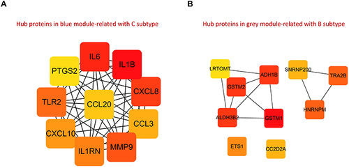 Figure 9 PPI networks. (A) Hub regulatory proteins of PRG-Cluster C based on blue module genes; (B) Hub regulatory proteins of PRG-Cluster B based on grey module genes.