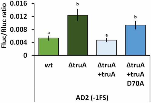 Figure 4. Frequency of translation errors in P. putida wild-type strain (wt), truA deletion strain (∆truA), truA deletion strain complemented with functional truA (∆truA+truA), and truA deletion strain complemented with catalytically inactive truA (∆truA+truA D70A). Letters a and b indicate homogeneity groups, different letters denote a statistically significant difference (p-value <0.001), n ≥ 12.