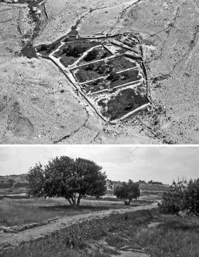 Figure 4 Reconstructed desert farm, Shivta. An experimental farm reconstructed by Michael Evenari and his team in the 1960s and 1970s, in aerial view (above) and from the ground today (below). The farm used ancient techniques of desert rainwater runoff harvesting which reached their greatest application in the Negev Highlands during the Byzantine 5th–6th centuries CE (photos Gideon Avni, Guy Bar-Oz).