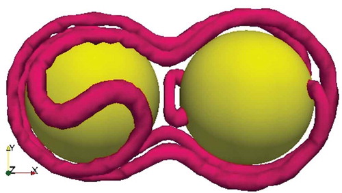 Figure 12. An example of a low energy configuration of two particles with different boundary conditions (the one on the left with director normal to the surface and the one on the right with the director tangential to the surface) in a cholesteric with pitch slightly smaller than the diameter of the sphere. The simulation results are from Ref [Citation30].