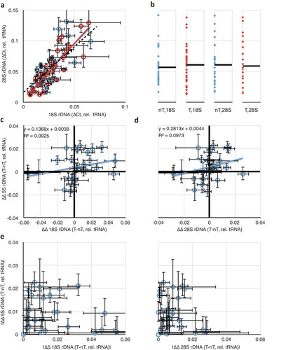 Figure 3. Comparisons of rDNA copy number changes in breast cancer tumours. (a) Correlation of 18S and 28S rDNA copy numbers is retained in both tumour (red) and non-tumour (blue) samples. (b) Data from (A) projected into one dimension to visualize the spread of individual data points. Black lines show the means. ‘nT’ = non-tumour, ‘T’ = tumour. The ordinal scale is shared with (a). (c) Plot of differences in 18S and in 5S rDNA copy numbers between tumour and non-tumour samples from the same individual. Black heavy lines highlight 0,0 origin, indicative of no change between 5S and/or 18S copy number between tumour and non-tumour; deviation from the origin is indicative of differences in one or both copy numbers. (d) As in (c), but comparing differences in 28S and 5S rDNA copy numbers. (e) Replotting of the absolute value of the data from 3C and 3D to highlight the discordance in the extent of changes to the 5S and 45S rDNA copy numbers. Throughout this figure, error bars indicate standard error of the mean (S.E.M.) for triplicate or quadruplicate technical reactions.