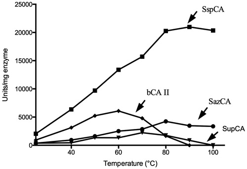Figure 3. Effect of temperature on the activities of SupCA, SspCA, SazCA and bCA II. The enzyme activity was measured at the temperatures reported on the X-axis and using p-NpA as substrate. SspCA, filled square; bCA II, filled diamond; SazCA, filled circle; SupCA, filled triangle.