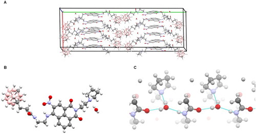 Figure 2. Crystallographic structure of 15: (A) crystal packing within the unit cell, showing the distinct zones of rings stacking and carborane clustering. (B) A view of a single 15 molecule with an associated water molecule. (C) Some polar groups of 15 together with water molecules form an intermolecular hydrogen bond network; each water molecule links three neighbouring 15 molecules. Oxygen atoms are drawn red, nitrogen blue, carbon grey, boron pale pink, hydrogen white.