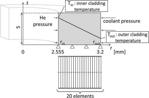 Figure 3. Calculation model in the validation of the program of the thermoelastic analyses.
