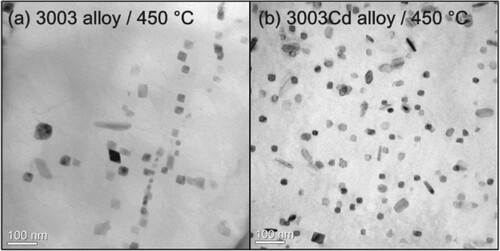 Figure 3. Bright-field TEM images of dispersoids in the (a) 3003 and (b) 3003Cd alloys after continuous heating to 450°C. Noted that the chosen regions in both samples have similar thicknesses.