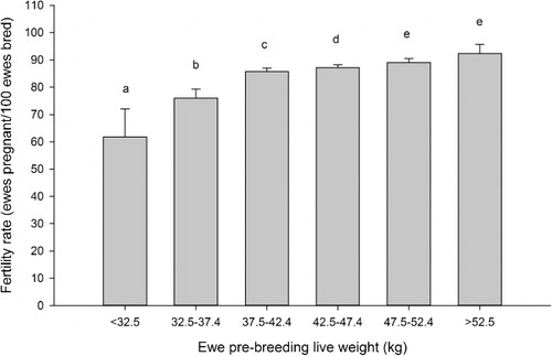 Figure 1 The effect of breeding live weight category on ewe lamb fertility rate (ewes pregnant per 100 ewes presented for breeding), back transformed logit mean ± 95% confidence interval. Bars with different letters are significantly different (P < 0.05).