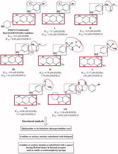 Figure 1. Structures of potent dual EGFR and VEGFR-2 inhibitors.