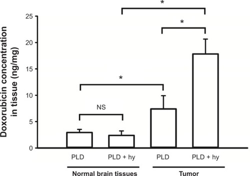 Figure 3 Doxorubicin concentrations in tumor and normal brain tissues in mice with and without short-time FUS hy.Notes: Female BALB/c mice were transcranially implanted with 4T1-luc2 murine breast cancer cells and received 5 mg/kg PLD with or without transcranial FUS hyperthermia on day 6 after tumor implantation. FUS hyperthermia enhanced the PLD delivery in the tumor regions. Data are presented as the mean ± SEM (n=5 for each group). *P<0.05.Abbreviations: FUS, focused ultrasound; PLD, pegylated liposomal doxorubicin; hy, hyperthermia; SEM, standard error of the mean; ns, not significant.