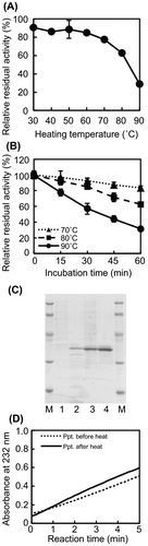 Fig. 3. Thermostability of Cobetia sp. NAP1-produced AlgC-PL7 and recombinant AlgC-PL7.