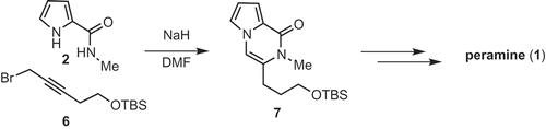 Scheme 2. A synthetic plan of peramine (1).