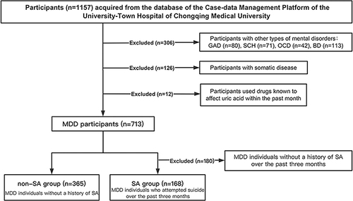 Figure 1 Flow chart of participant selection.