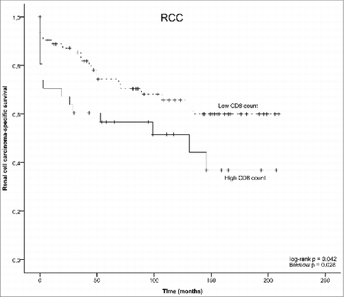 Figure 6. Kaplan–Meyer plots of renal cell carcinoma-specific survival, as stratified by predefined CD8+ T cell count cutoff points.