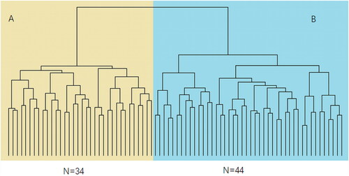 Figure 2. Cluster analysis of 78 noise-induced hearing loss staff. The two subgroups identified by cluster analysis were 34 individuals in subgroup A and 44 individuals in subgroup B.