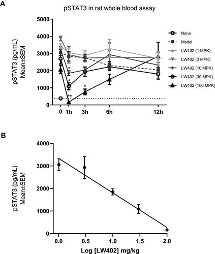 Figure 4 Effect of LW402 treatment on STAT3 phosphorylation in whole blood.