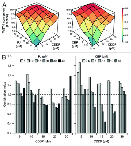 Figure 1. Hyperadditive interactions of PARP inhibitors and cisplatin in NSCLC A549 cells. (A and B) Human non-small cell lung carcinoma (NSCLC) A549 cells were cultured in control conditions or exposed for 48 h to PJ34 hydrochloride hydrate (PJ), CEP 8983 (CEP) or cisplatin (CDDP), alone or in the indicated combinations, followed by the colorimetric assessment of residual proliferation by means of a WST-1 conversion-based assay. In panel (A), color-coded surfaces illustrate residual WST-1-converting activity. In panel (B), combination indexes (CIs), estimated according to the Harbron’s method starting from a data set built on n = 3 independent assessments, are depicted. CI < 0.8 is generally viewed as an indicator of bona fide synergistic interactions. See also Tables S1 and S2.