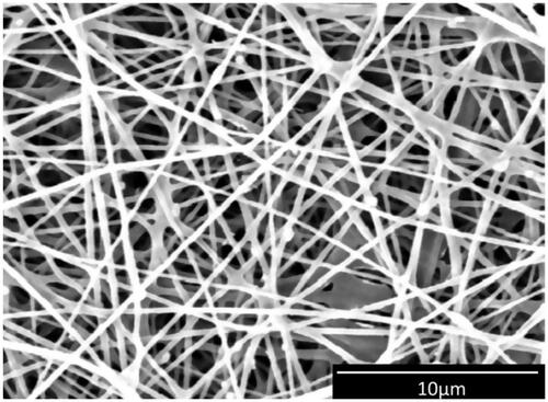 Figure 2. SEM micrograph of CA/Gel +25 mg nHA nanofibres.