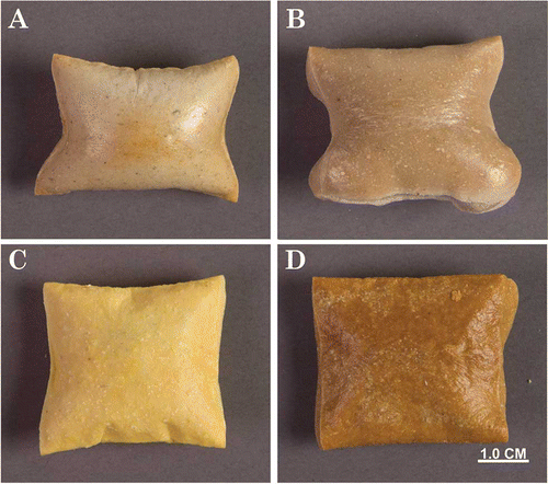 Figure 1 Photographs of Baked barley (A), cassava (B), corn (C), and quinoa (D); illustrating natural colorations and peculiar expansion modes of crusted tops with pillow-like expansion of the products.