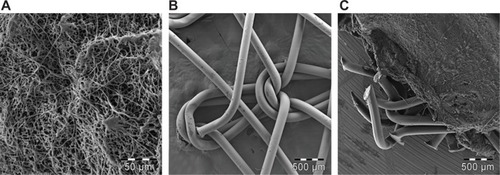 Figure 5A–C Scanning electron microscopy of the implanted scaffolds.Notes: (A) PCL nanofibers (magnification 230×); (B) PP mesh (magnification 18×); (C) PP mesh functionalized with PCL nanofibers (magnification 18×).Abbreviations: PP, polypropylene; PCL, poly-ε-caprolactone.