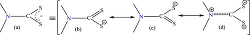 Figure 1. Resonance stabilization of the dithiocarbamate anions (a-c) and thiouride (d) tautomer.