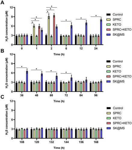 Figure 3 The real-time H2S concentration in vivo after single injection of supplementations. (A) The first 24h post single injection, (B) the 36–96h post single injection, and (C) the 108–168h post single injection of supplementations. In this figure, *Indicated significant different compared with control group. (n = 5, mean ± SD).