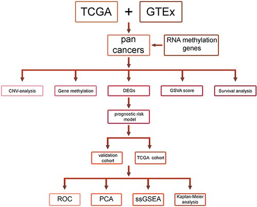 Figure 1 A flowchart for the study.