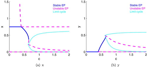 Figure 7. One parameter bifurcation diagrams for c with intermediate light (K= 0.75); r is held at its baseline value. x is on the left and y is on the right. There is a transcritical bifurcation around c=0.40, saddle-node bifurcations at c = 0.62783, 0.65, and a Hopf bifurcation at c = 0.62800. For c<0.40, grazer extinction is stable; for 0.40<c<0.65, coexistence; and for c>0.62800, oscillations.