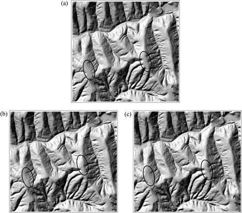 Figure 14. Comparison of shadow maps at different scales in the study area. (a) Original shadow map with a scale of 1:10,000; (b) shadow map with a scale of 1:25,000; and (c) shadow map with a scale of 1:50,000.