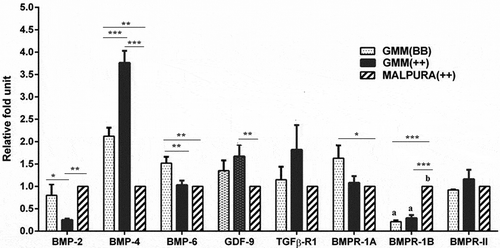 Figure 4. Quantitative expression of the BMP factors/receptors in the granulosa cells of different FecB genotypic groups of ewes. Relative abundance (RFU, relative fold unit) of the BMP factors and BMP receptors shown in granulosa cells of homozygous carrier GMM (FecBBB), non-carrier GMM (FecB++), and non-carrier Malpura (FecB++) ewes with reference to RPL19 as housekeeping gene (internal control). Pairwise significant difference between means of different FecB groups was considered from P value lower than 0.05 to 0.001. Straight lines between two values with asterisks above them depict the significant difference as *P < 0.05, **P < 0.01, ***P < 0.001.