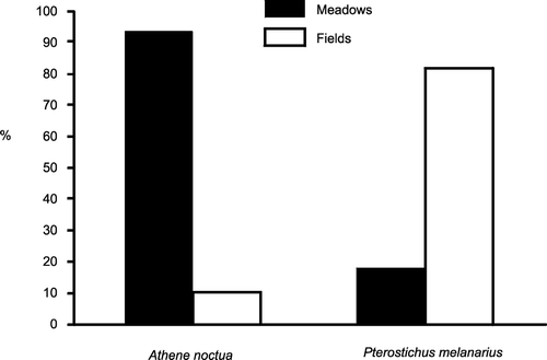 Figure 3 Hunting habitat preferences of Little Owls in meadows and fields based on telemetry (n = 307 locations), and the proportional abundance of Pterostichus melanarius (n = 212 individuals) from traps in meadows and fields within Little Owl territories (2 × 2 tables, χ2 = 47.5, df = 1, P < 0.0001).