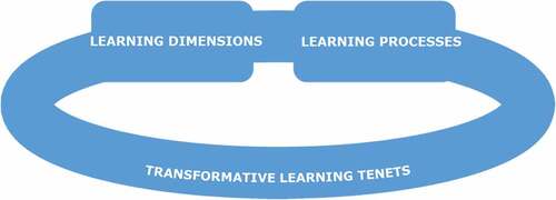 Figure 1. Transformative learning ecology features.